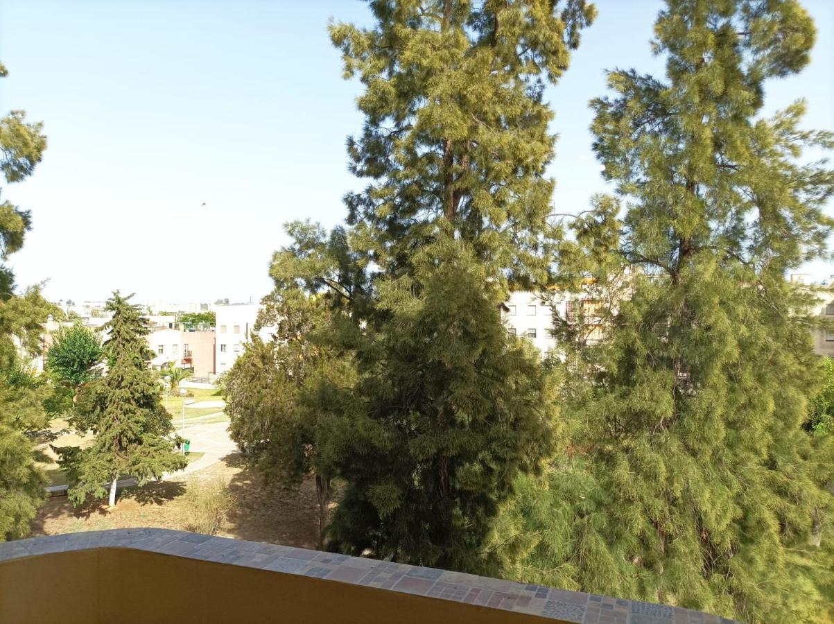 Super Luminoso Y Muy Tranquilo Con 2 Dormitorios Jerez de la Frontera Exteriér fotografie
